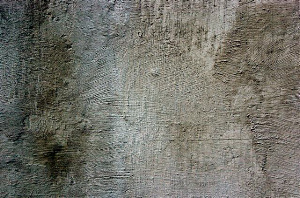 _DSC6853%20(1)