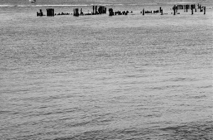 _DSC6887%20(1)