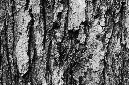 _DSC6327%20(1)