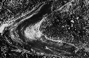 _DSC6355%20(1)