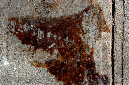 _DSC6359%20(1)
