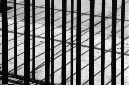 _DSC6406%20(1)