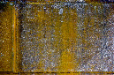 _DSC6411%20(1)
