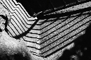 _DSC6431%20(1)
