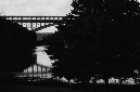 _DSC6453%20(1)