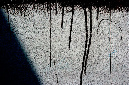 _DSC6813%20(1)
