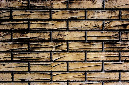 _DSC6817%20(1)