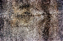 _DSC6825%20(1)