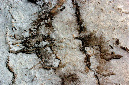 _DSC6835%20(1)