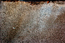_DSC6837%20(1)