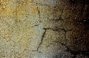 _DSC6842%20(1)