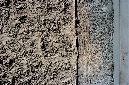 _DSC6860%20(1)