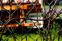 _DSC6872%20(1)