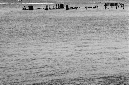 _DSC6887%20(1)