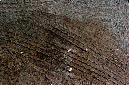 _DSC6902%20(1)