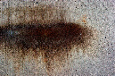 _DSC6908%20(1)