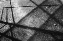 _DSC6938%20(1)