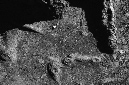 _DSC6962%20(1)