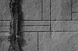 _DSC7002%20(1)