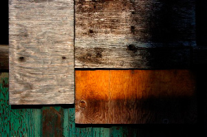 _DSC7004%20(1)