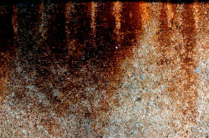 _DSC7016%20(1)