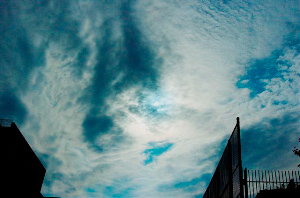 _DSC7034%20(1)