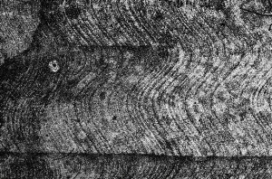 _DSC7078%20(1)
