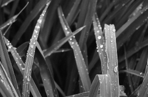 _DSC7149%20(1)