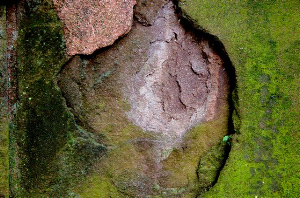 _DSC7202%20(1)