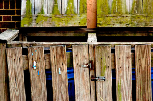 _DSC7237%20(1)