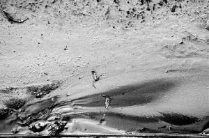 _DSC7263%20(1)