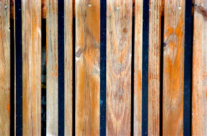 _DSC7270%20(1)