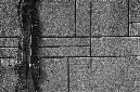 _DSC7002%20(1)