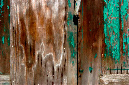 _DSC7006%20(1)