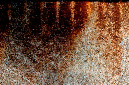 _DSC7016%20(1)