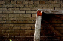_DSC7025%20(1)