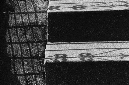 _DSC7029%20(1)