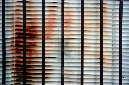 _DSC7053%20(1)