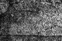 _DSC7078%20(1)