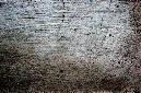 _DSC7104%20(1)