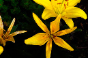 _DSC7117%20(1)