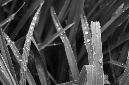 _DSC7149%20(1)