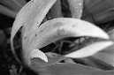 _DSC7158%20(1)