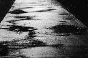 _DSC7164%20(1)