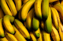 _DSC7169%20(1)