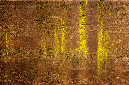 _DSC7174%20(1)