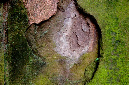 _DSC7202%20(1)