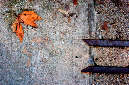 _DSC7205%20(1)