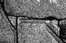 _DSC7209%20(1)