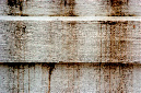 _DSC7215%20(1)